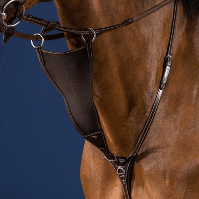 Hovedbilde Dyon Kort Martingal Antibit - ...