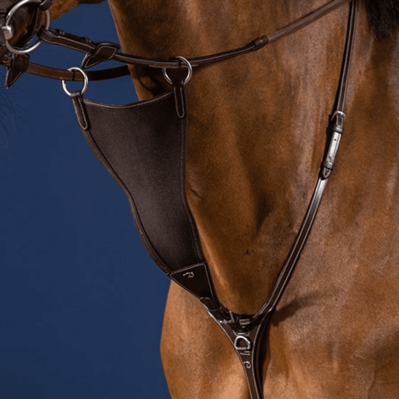 Dyon Kort Martingal Antibit - US collection