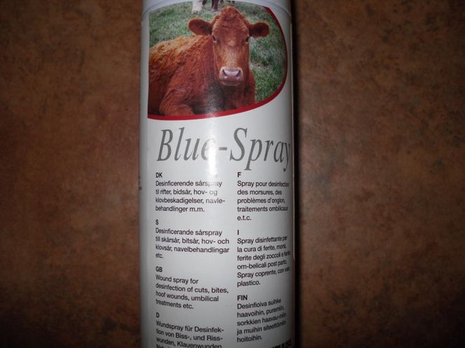 Hovedbilde Blue-Spray