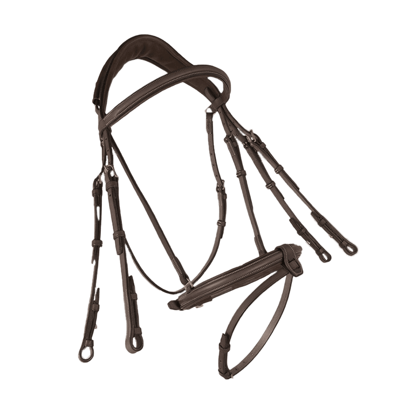 CWD Anatomisk Kandarhodelag
