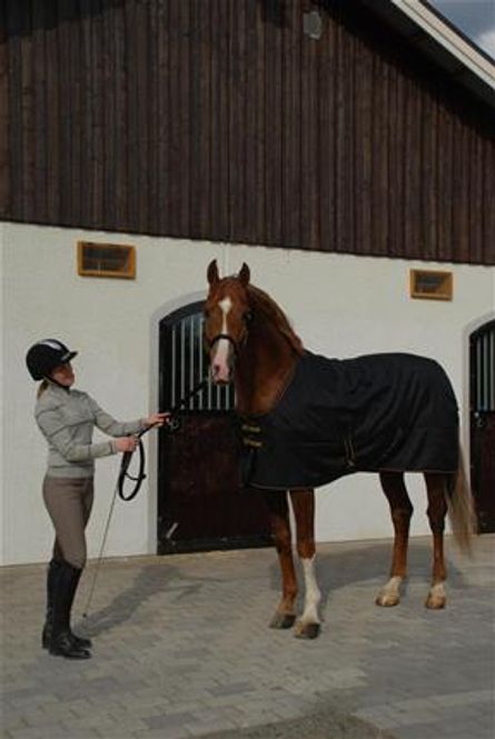 Hovedbilde Bucas Irish Stable Light