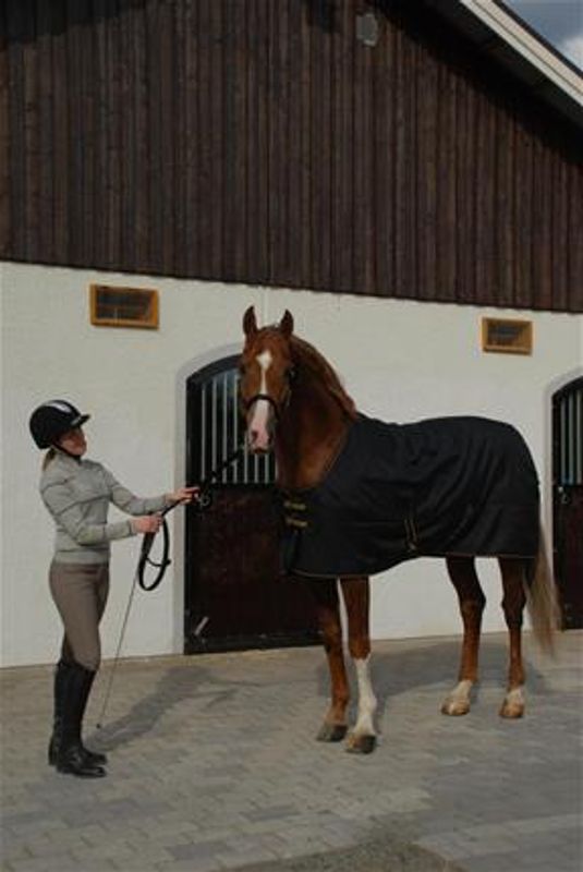 Bucas Irish Stable Light