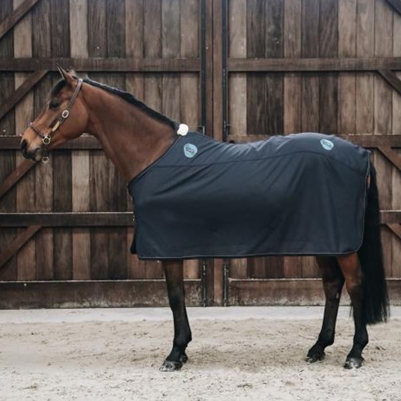 Kentucky Magnetic Rug Recuptex