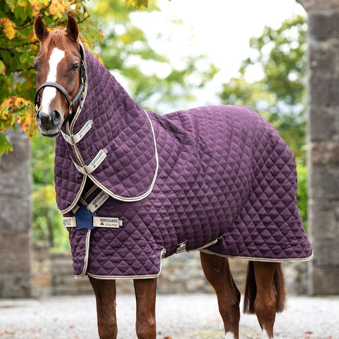 Hovedbilde Amigo Stable Plus Med - Disc