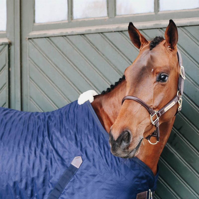 Kentucky Summer Sheet