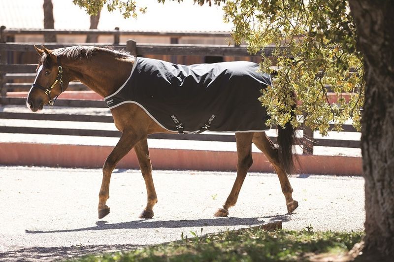 Amigo Walker lite 100g