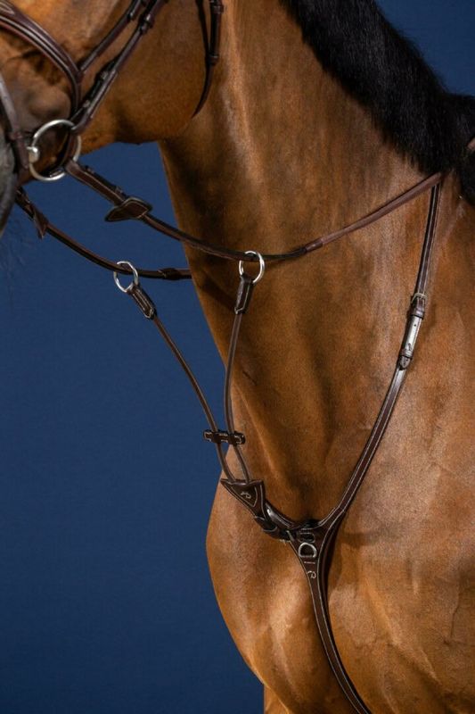 Elastic Running Martingale Attavchment US Collection