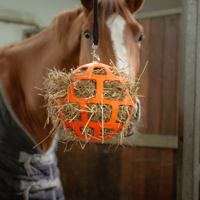 Hovedbilde HAY SLOWFEEDER FUN AND FLEX