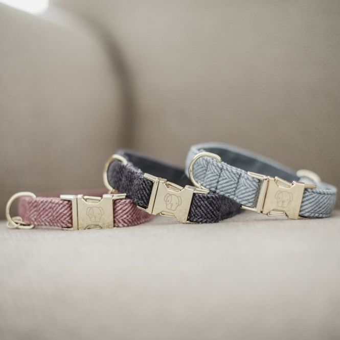Hovedbilde Kentucky Dog Collar Wool