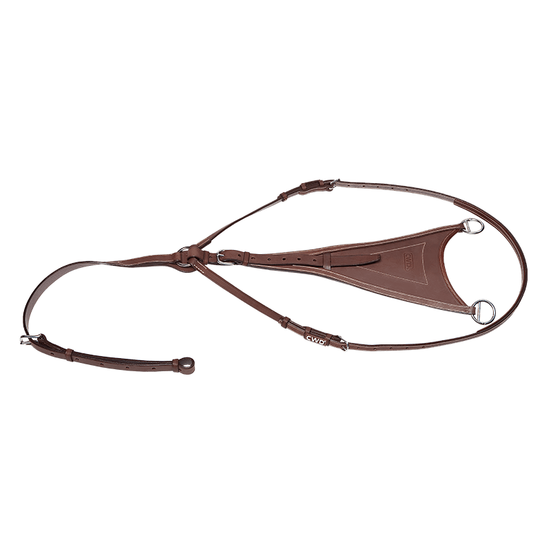 CWD Antibit Martingal