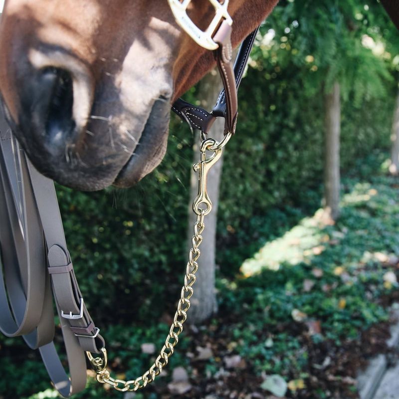Kentucky hingste kjetting (Kentucky Stallion Chain)