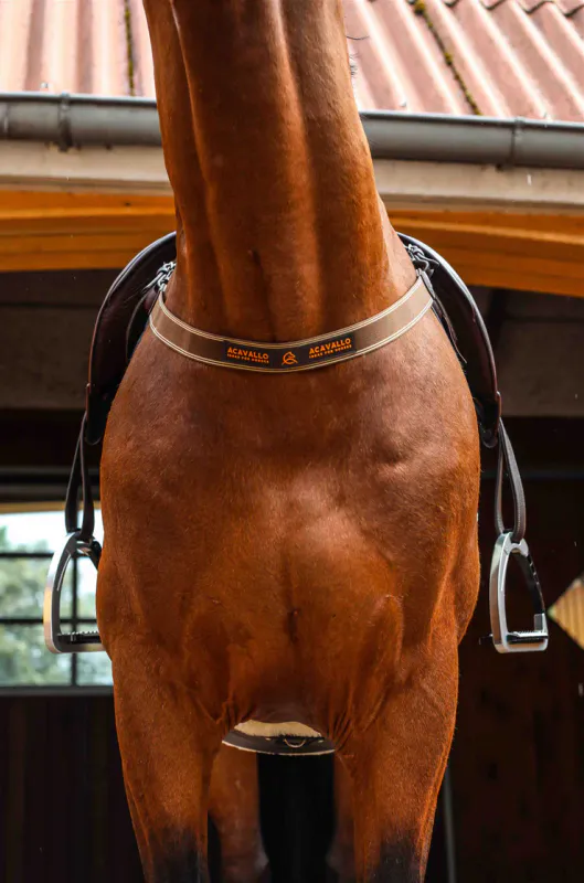 Acavallo Single Elastic Breastplate