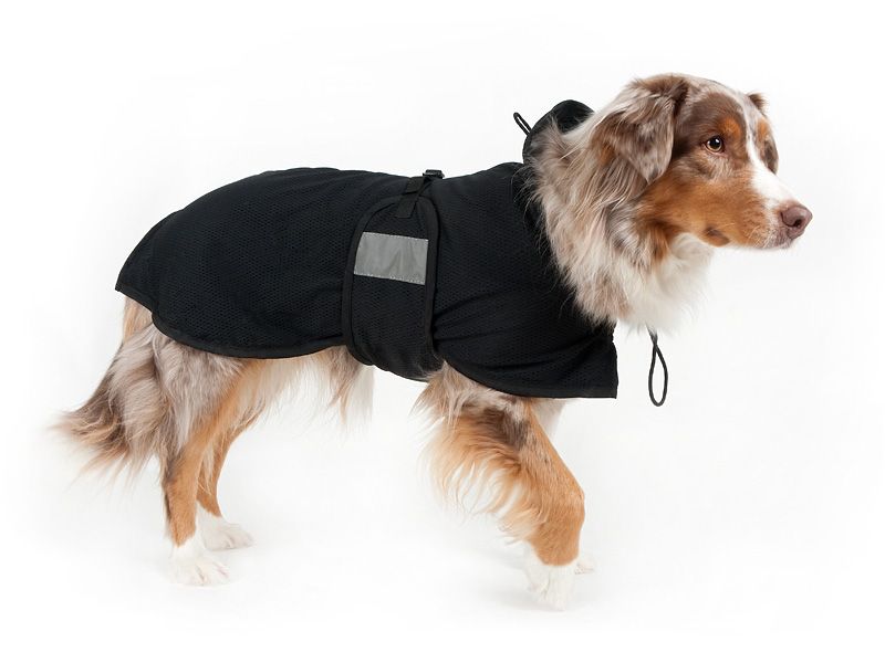 Back on Track Nettdekken Hund