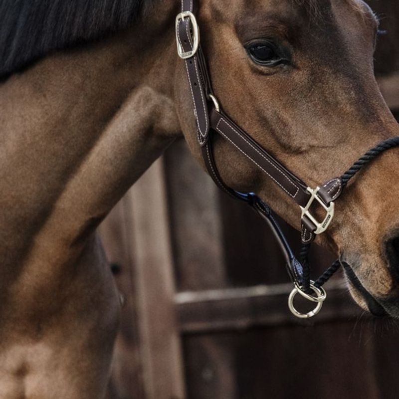 Kentucky Leather Rope Halter