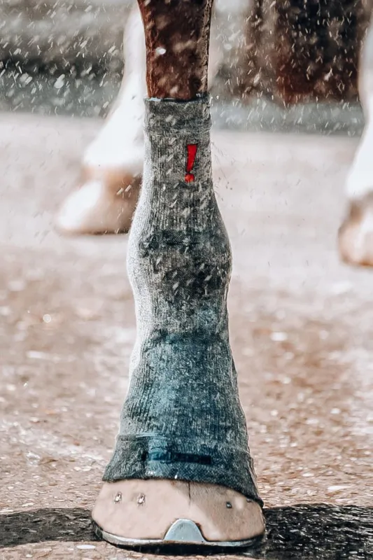 Circulation Hoof Socks