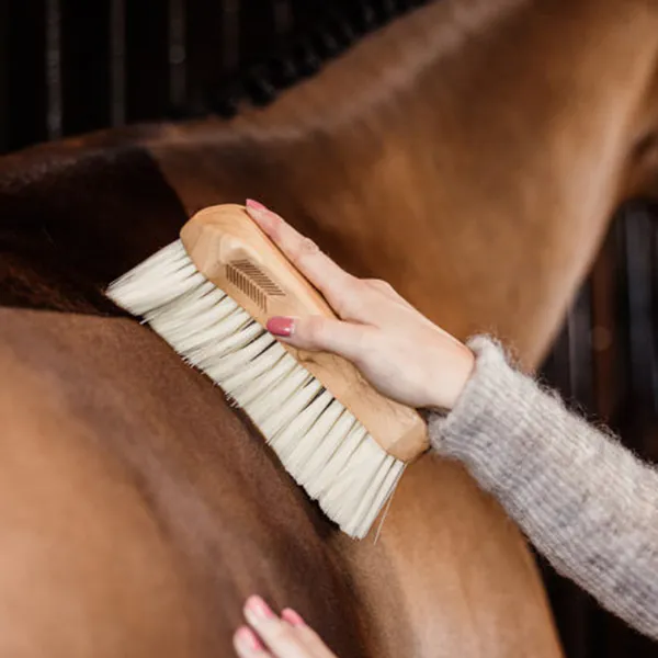 Bilde av Grooming Deluxe Body Brush ...