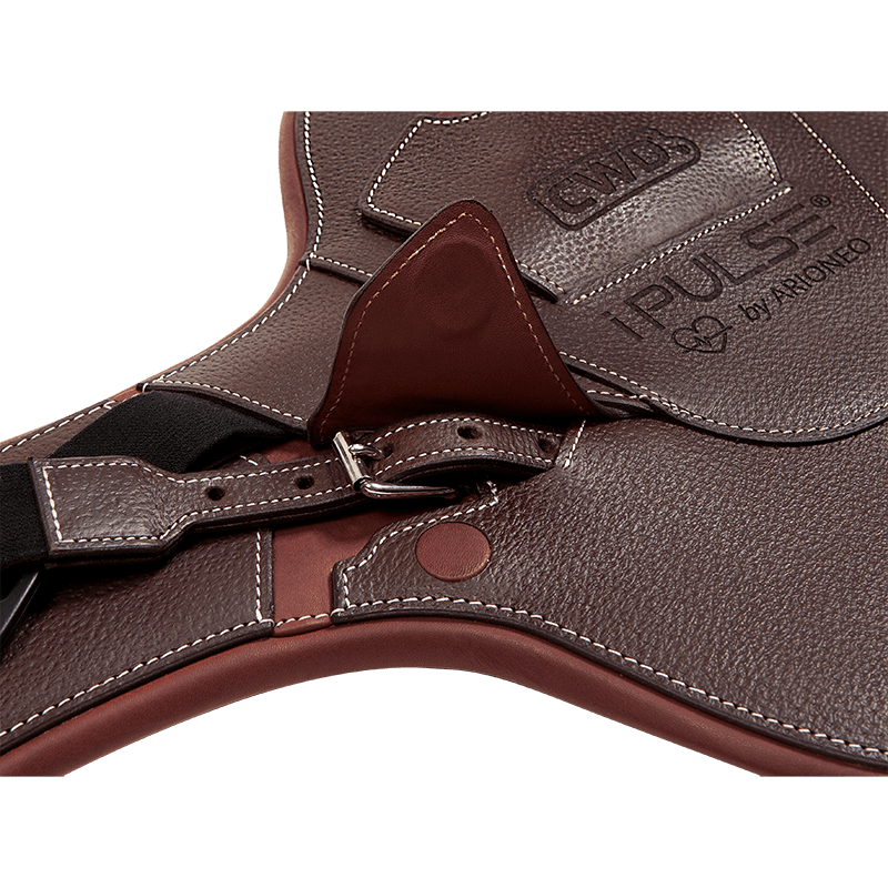 CWD iPulse girth by ARIONEO