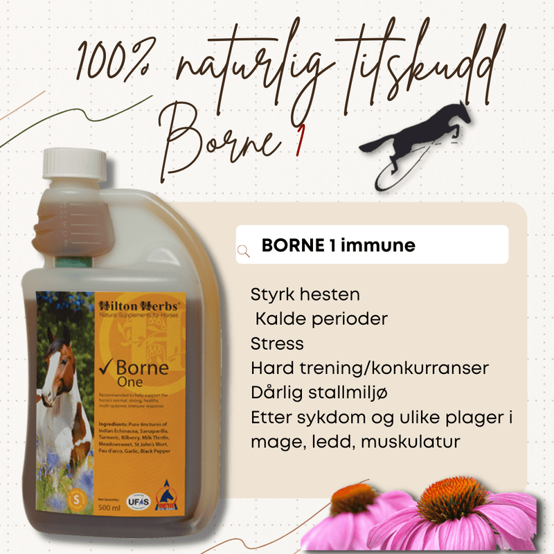 Borne 1 Hilton Herbs