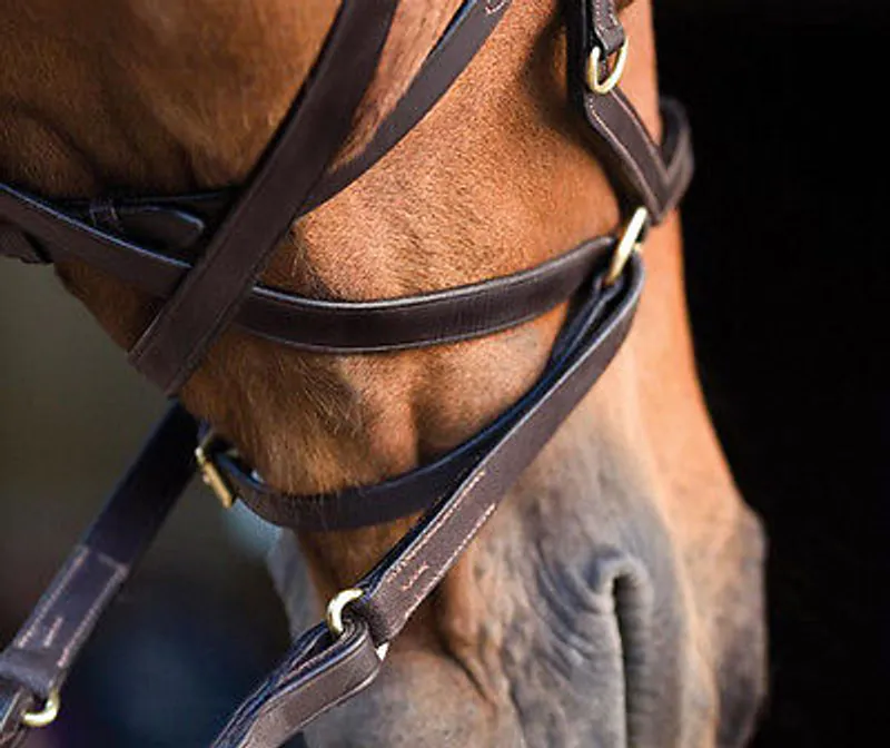 Horseware RAMBO MICKLEM MULTI BRIDLE 