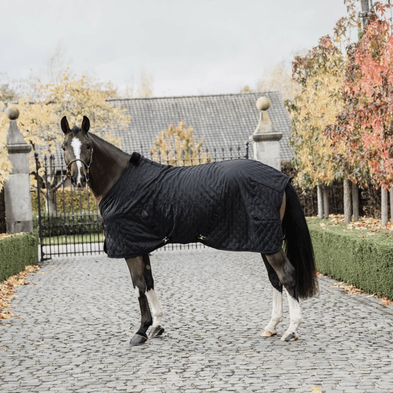 Kentucky stall dekken 0g