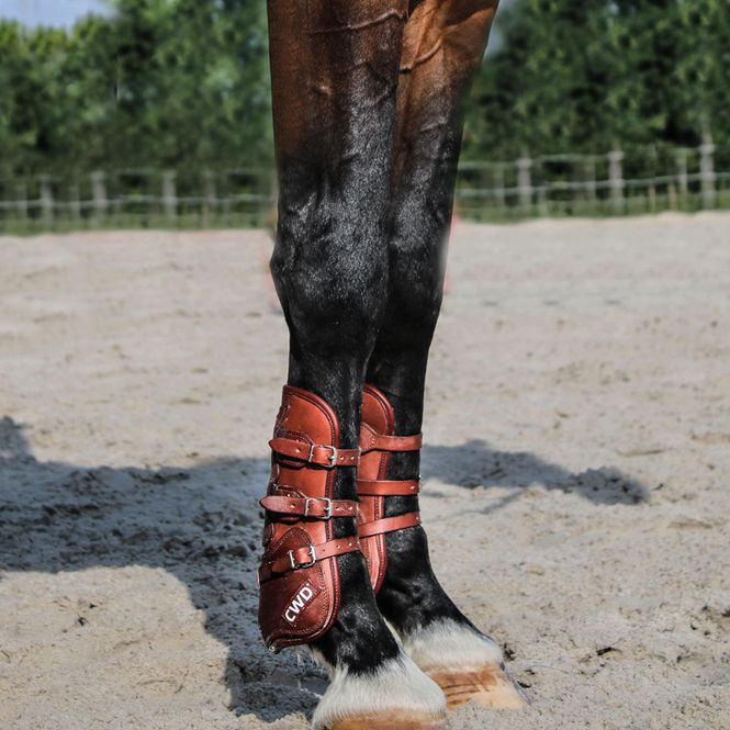 Hovedbilde CWD Senebeskyttere med ...