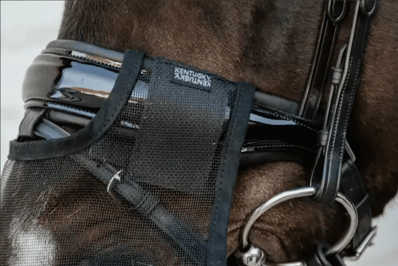 Kentucky Anti Fly Nose Net