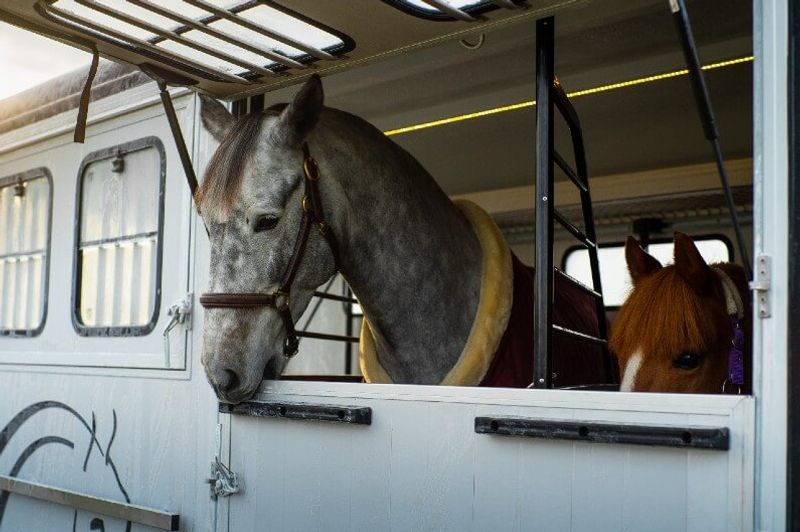 Cheval Liberté MAXI 4 Hestehenger