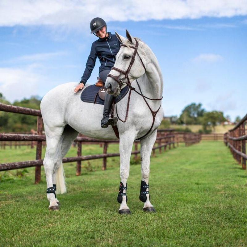 Dyon Double Noseband Bridle New English Collection