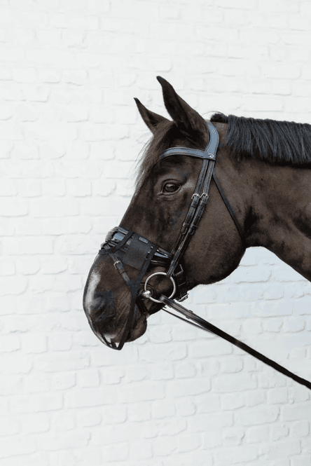 Hovedbilde Kentucky Anti Fly Nose Net