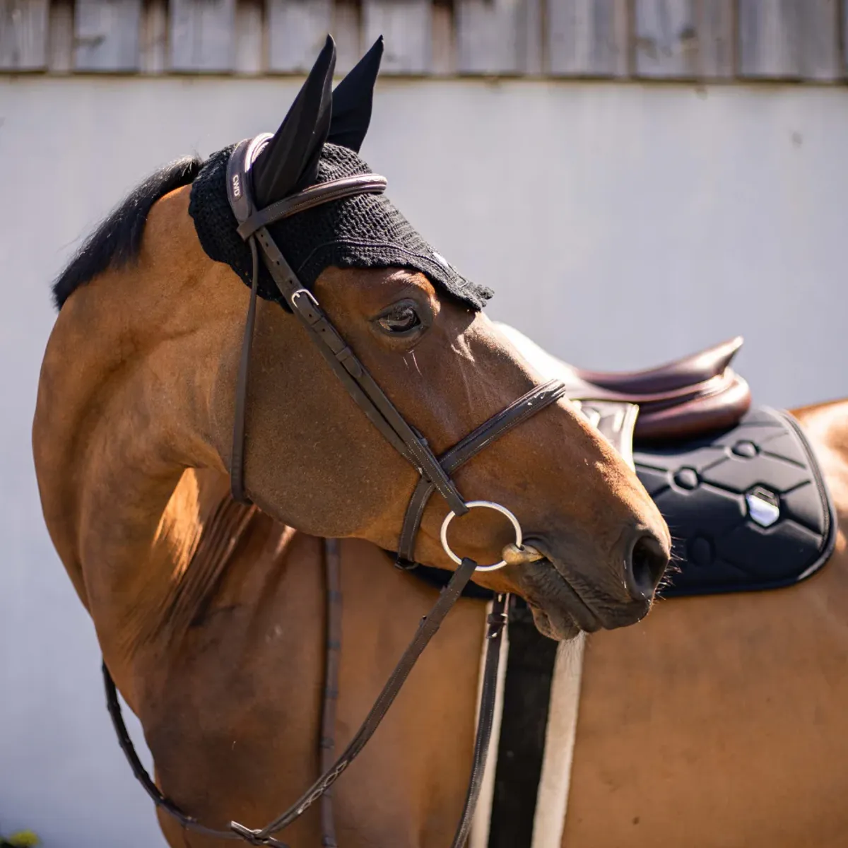 Samshield SpineShield Embroidery saddle pad jumping