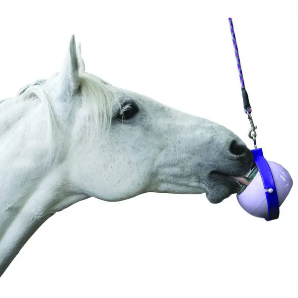 Hovedbilde Likit Boredom Buster