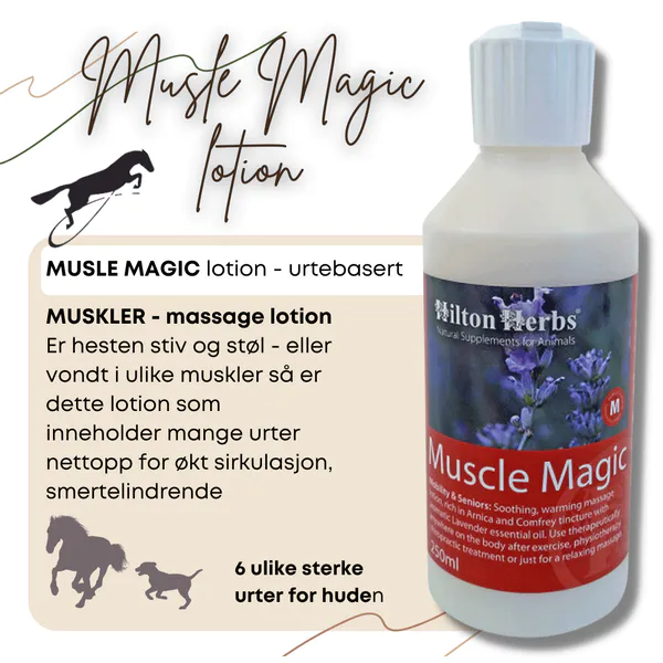 Hovedbilde Muscle Magic Lotion Hilton ...