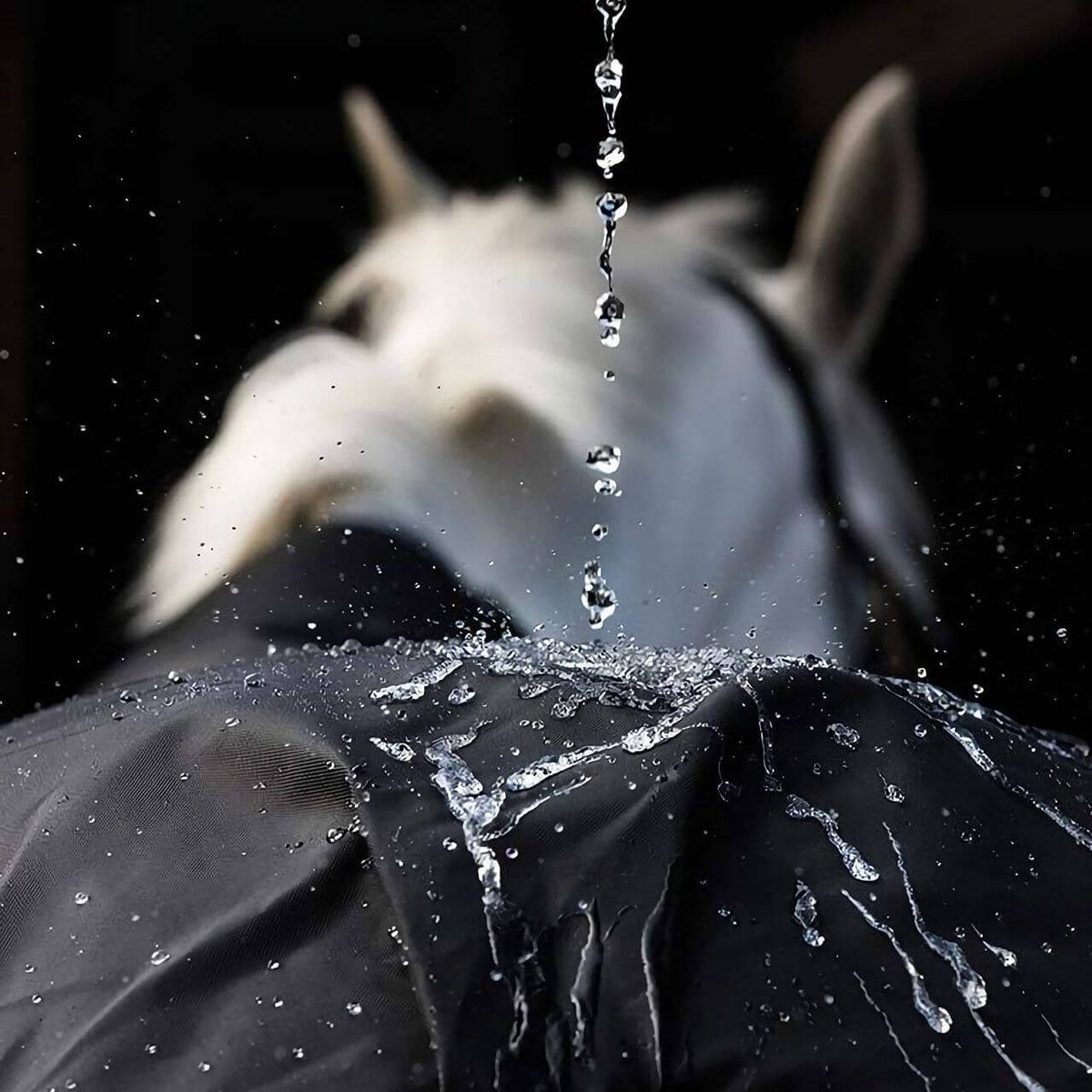 Amigo® Bravo 12 Plus Turnout (250g Medium)