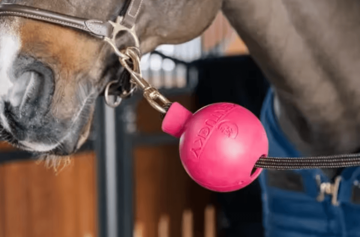 Kentucky Lead & Wall Protection Rubber Ball 