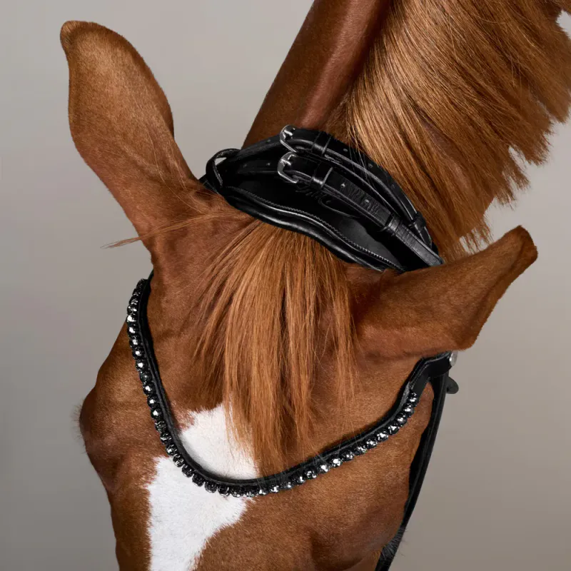 Bridle Round with Large Noseband Soft Leather