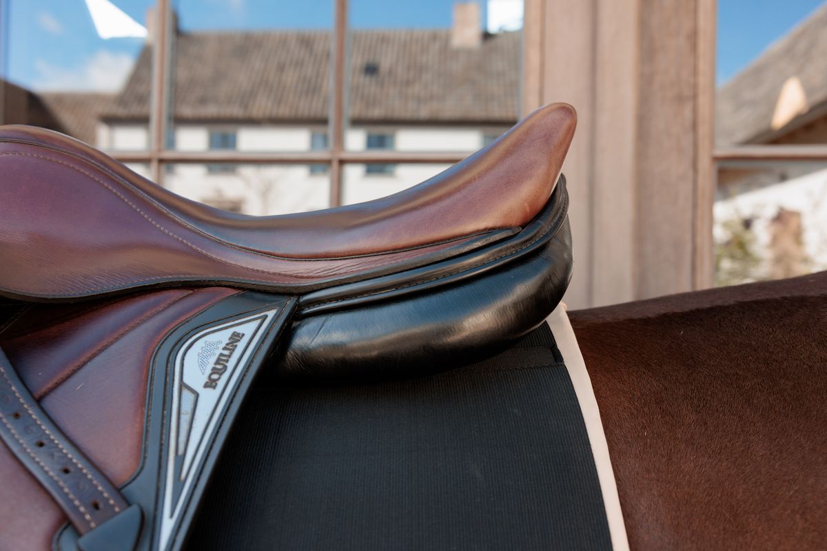 Kentucky Belly Band Horse (body bandage)