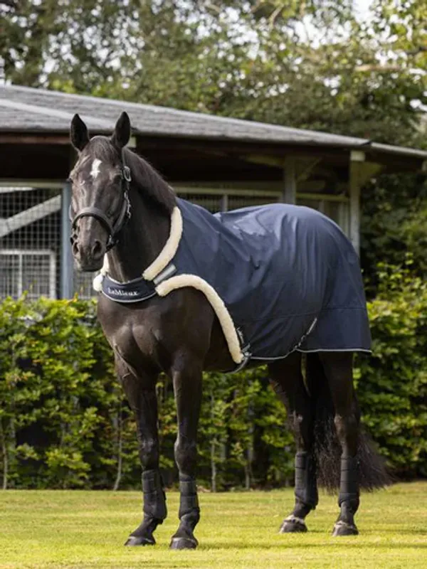 LEMIEUX Walker Rug Navy