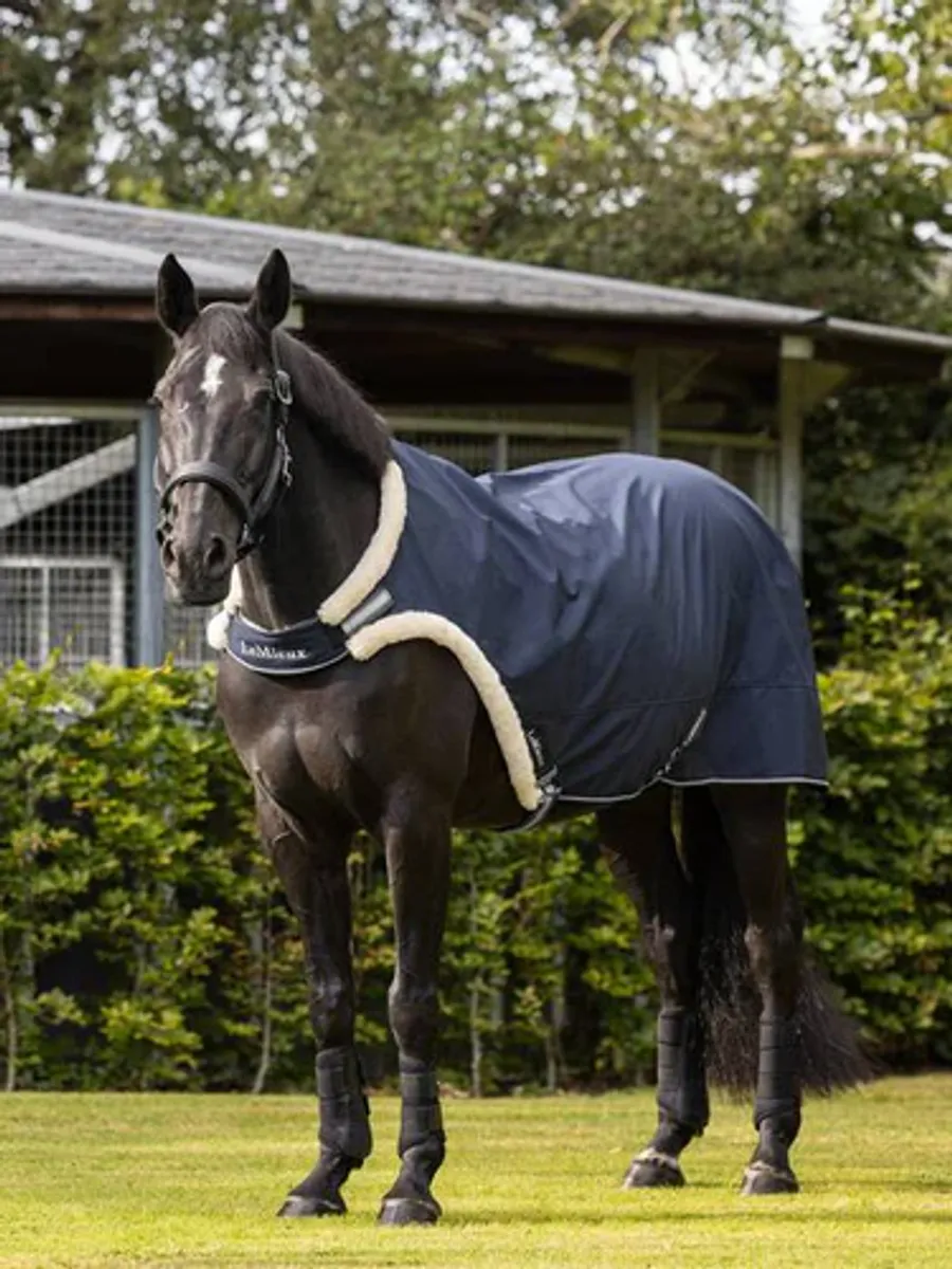 LEMIEUX Walker Rug Navy