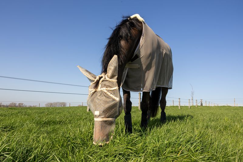 Kentucky Fly Mask Heart w/Ears And Nose 