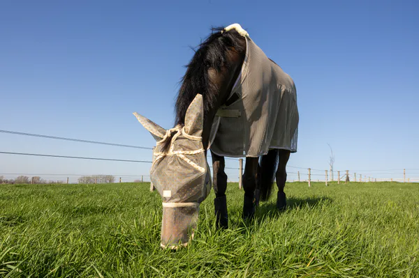 Hovedbilde Kentucky Fly Mask Heart ...