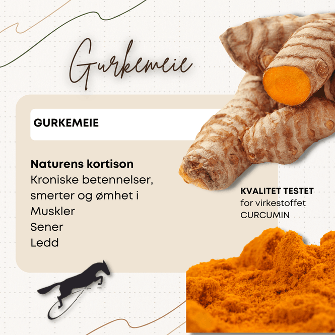 Hovedbilde Gurkemeie (Turmeric Powder)  ...
