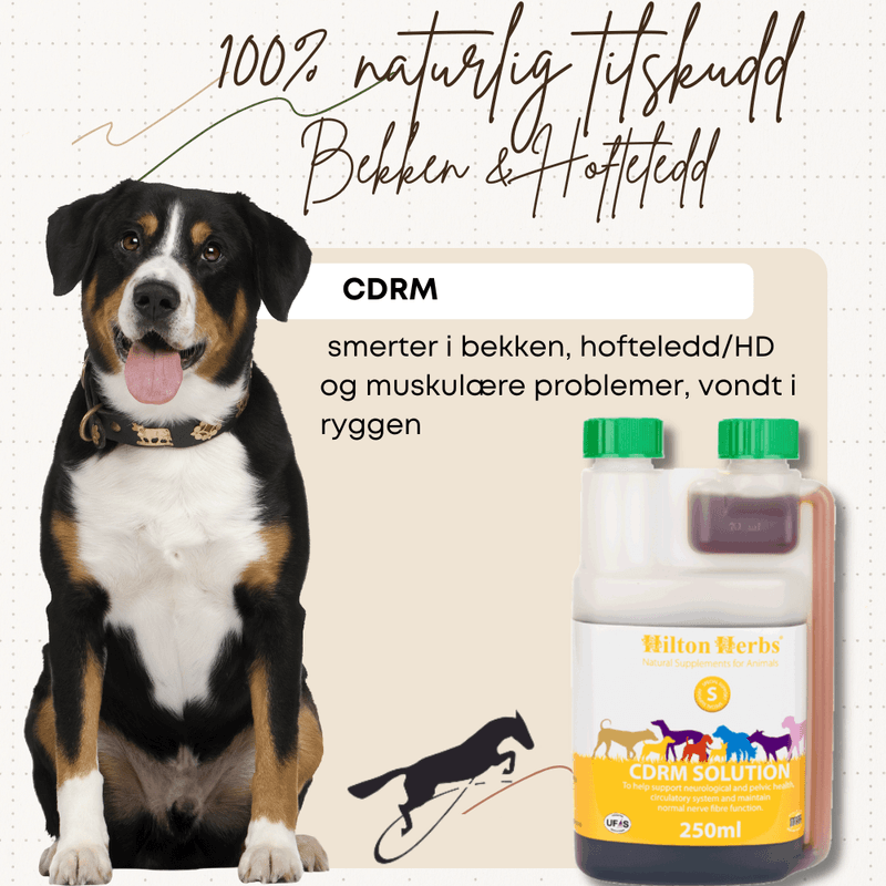 CDRM Hilton Herbs