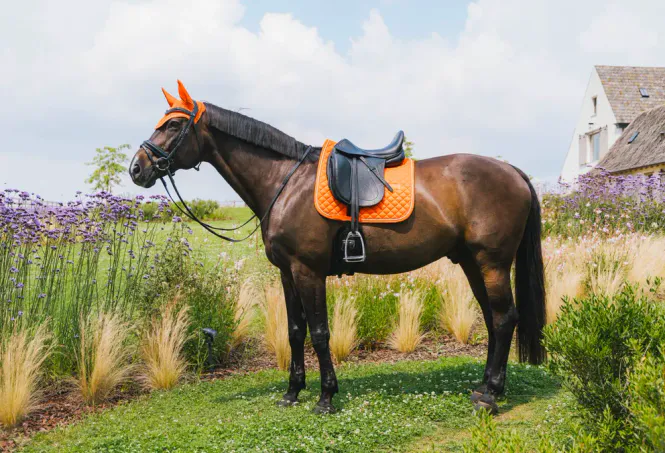 Hovedbilde Saddle Pad Diamond Rope ...