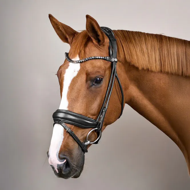 Hovedbilde Bridle Round with Large ...