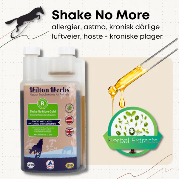 Bilde av Shake no More Gold Hilton ...