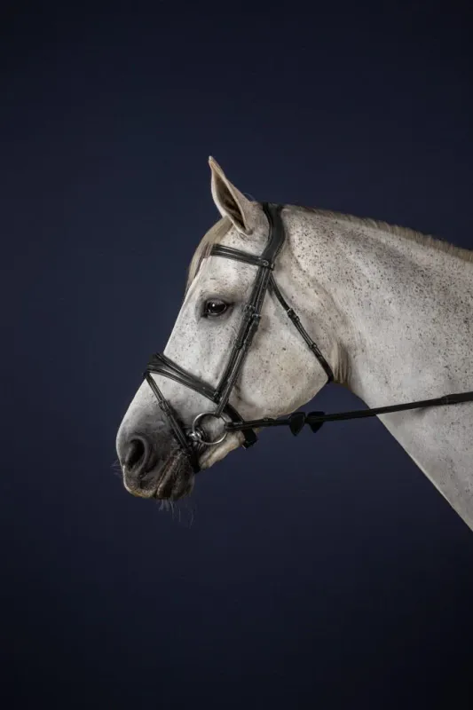 Dyon Anatomic Flash Noseband Bridle New English Collection - ton i ton stikling