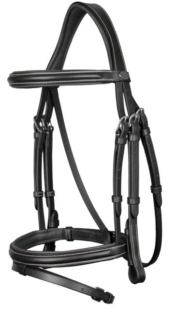 Hovedbilde Dyon Flash Noseband Bridle ...
