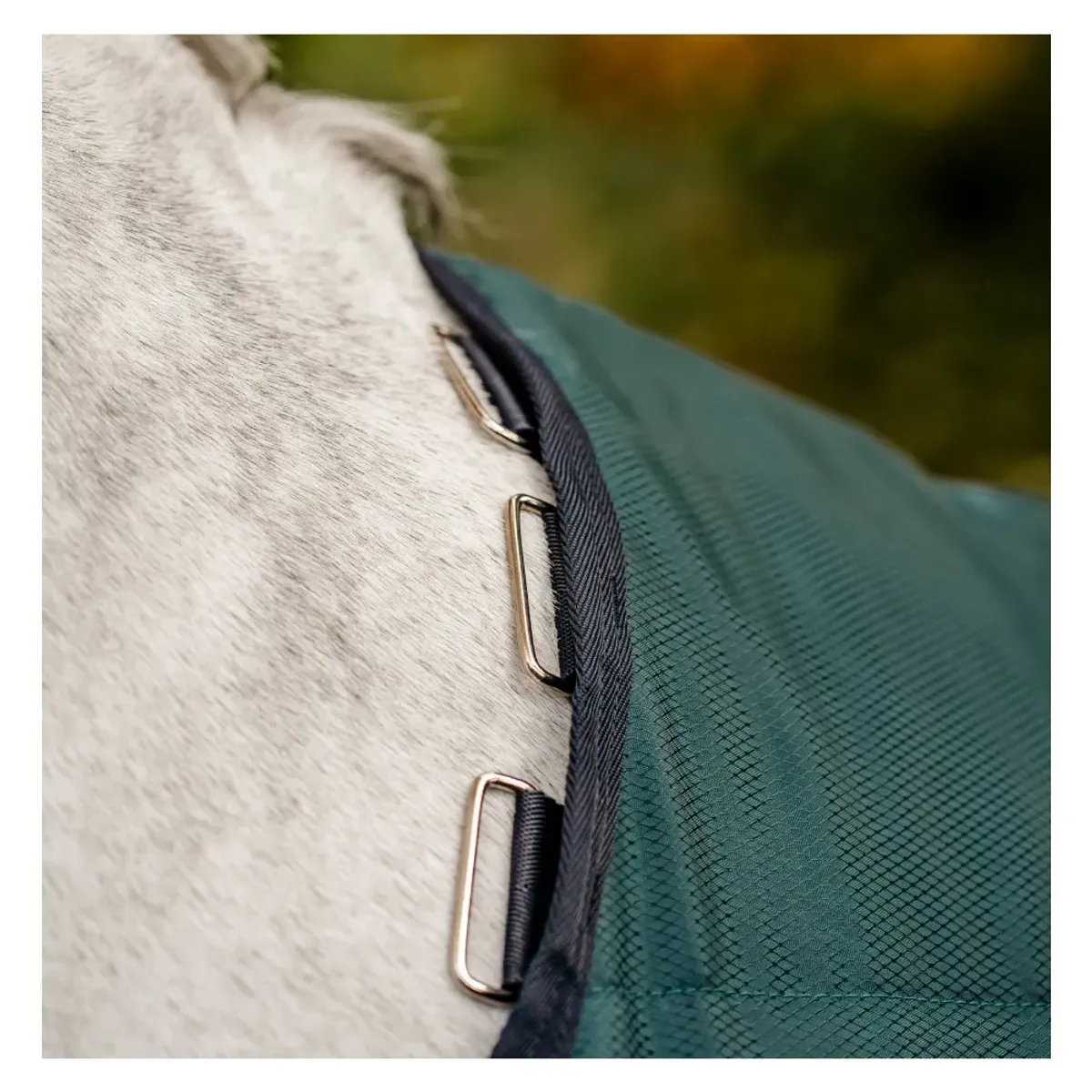 Amigo Ripstop Insulator Stable Rug 200 Gram - Dynasty Green! 