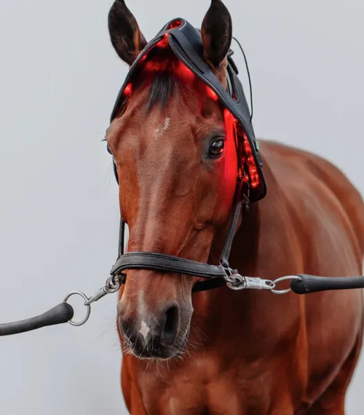 Hovedbilde Infrapower Poll Cap