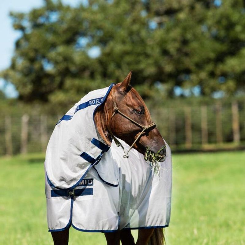 Horseware Mio ponni insektsdekken